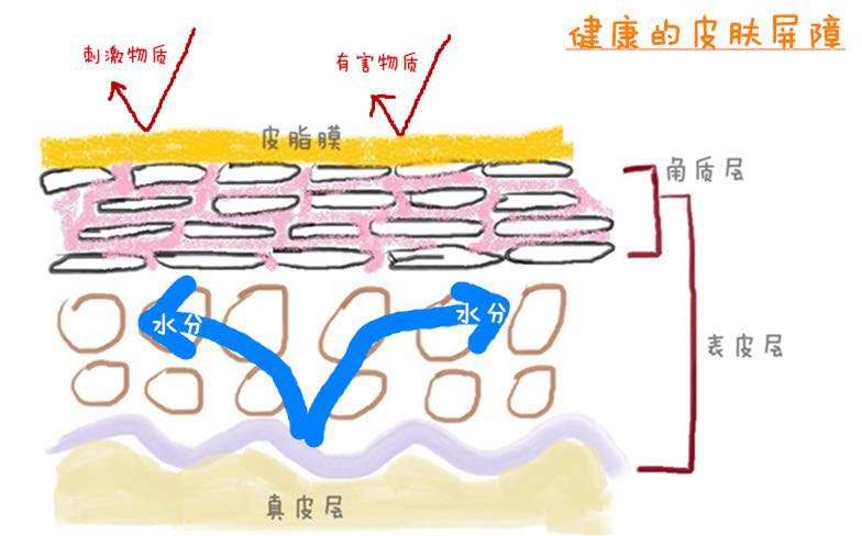 軍事迷的護(hù)膚解讀：我將合理清潔、保濕、防曬